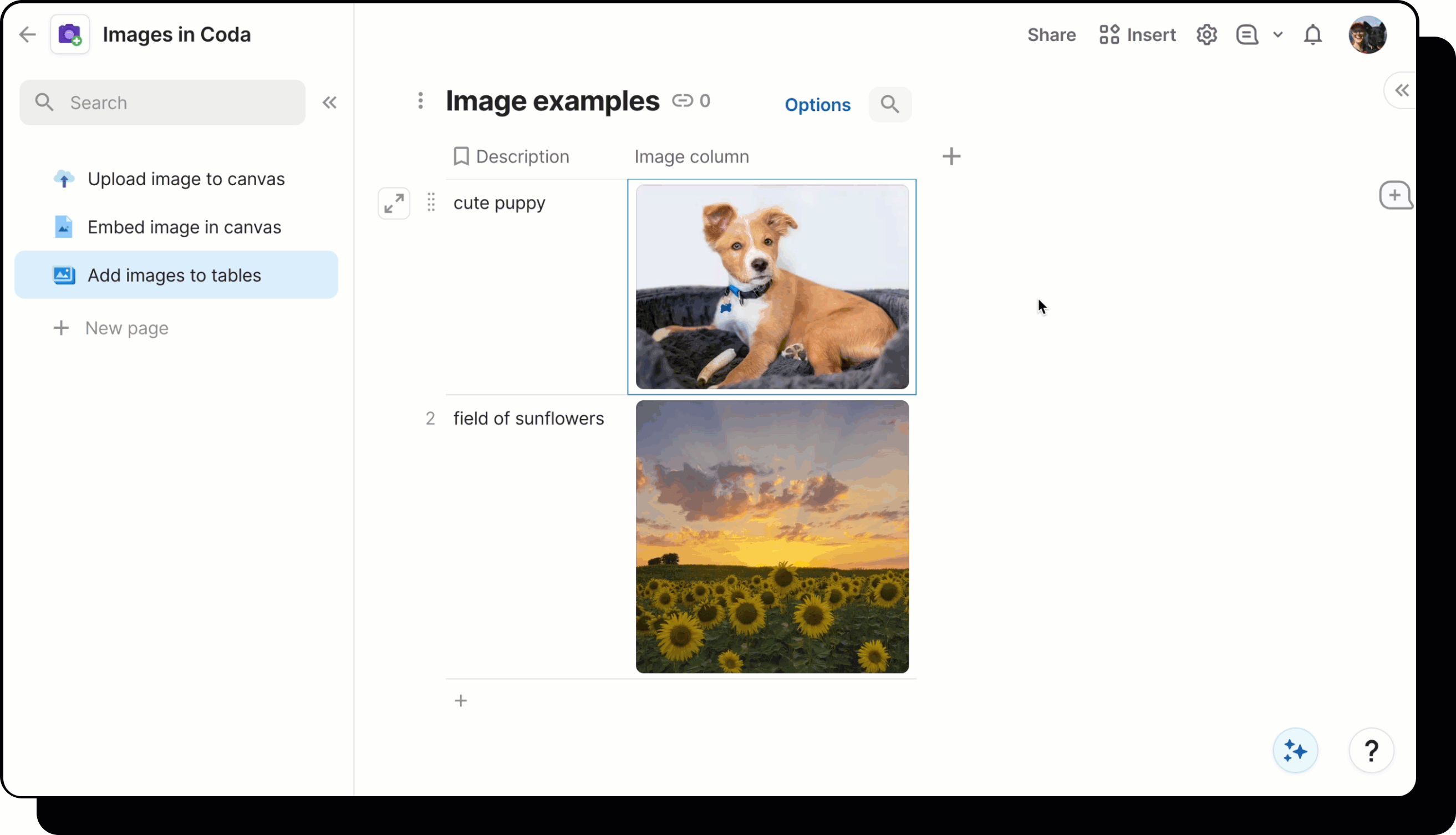 add alt text to image.gif